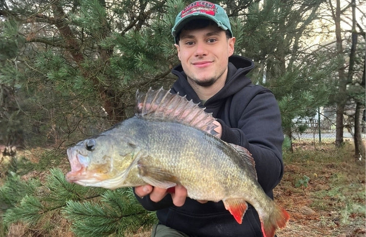 vissen met kunstaas op baars