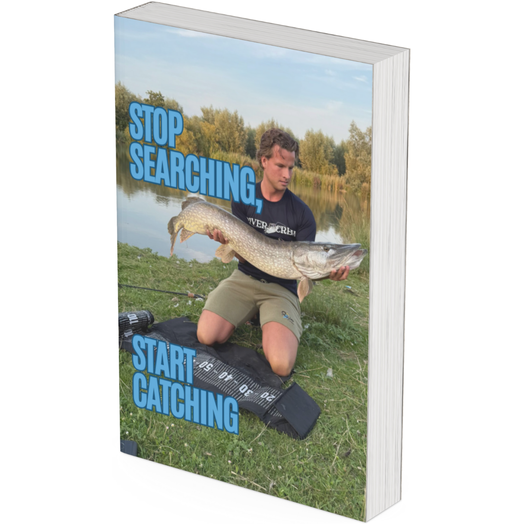 Stop Searching, Start Catching (eBook)